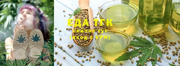 дмт Алзамай