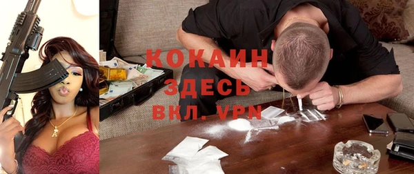 дмт Алзамай