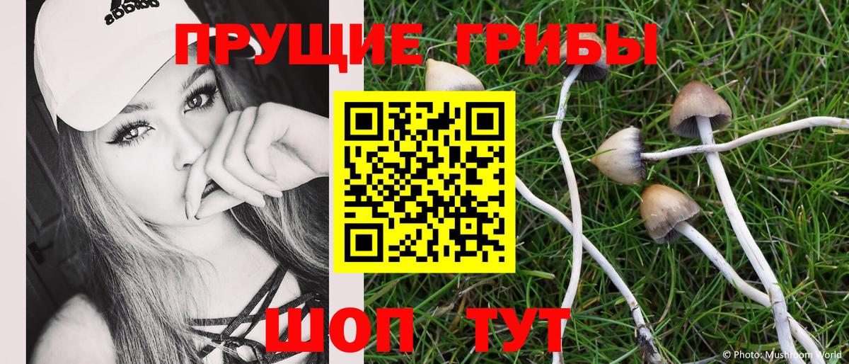 наркота  Галлюциногенные грибы Cubensis  Вход с VPN  Старый Оскол  Галлюциногенные грибы GOLDEN TEACHER 