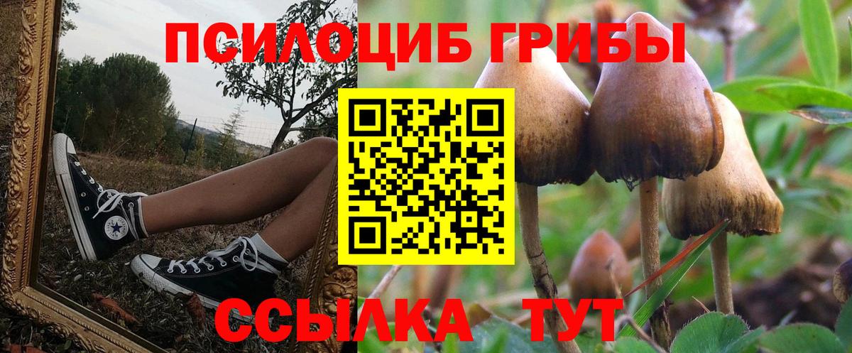 Галлюциногенные грибы GOLDEN TEACHER Старый Оскол